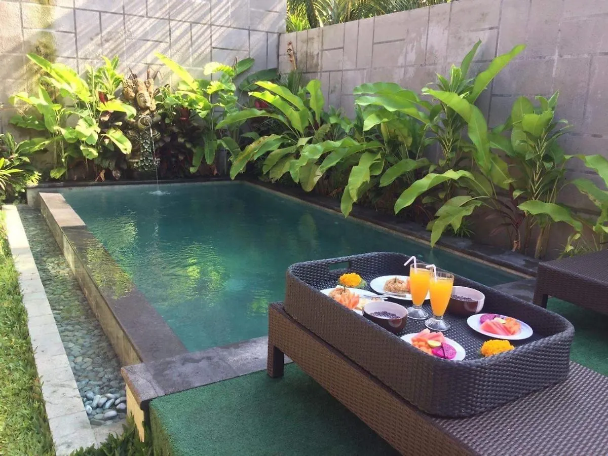 Mahesa Villa Ubud 0*,