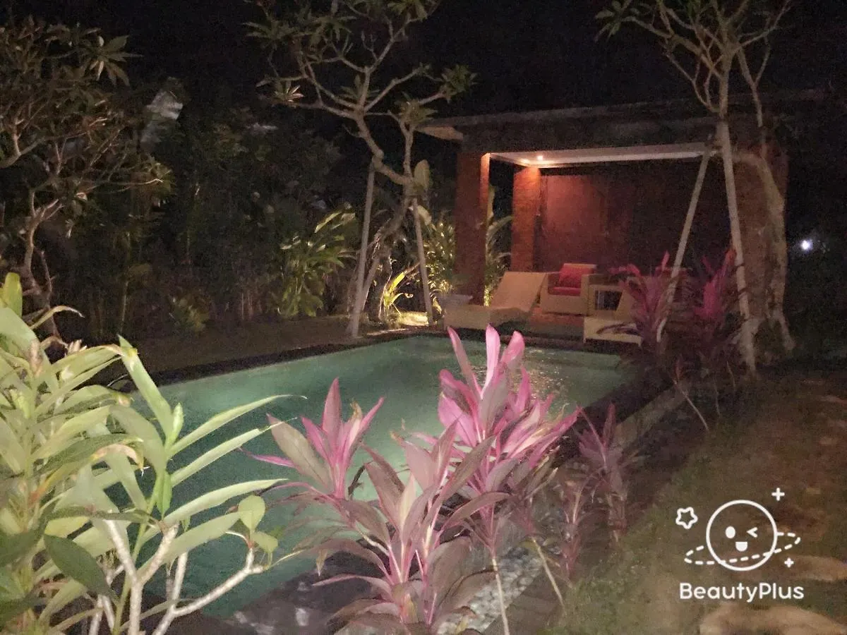 Mahesa Villa Ubud